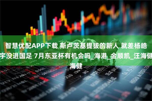 智慧优配APP下载 斯卢茨基提拔的新人 就差杨皓宇没进国足 7月东亚杯有机会吗_海港_金顺凯_汪海健