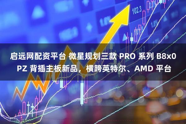 启远网配资平台 微星规划三款 PRO 系列 B8x0 PZ 背插主板新品，横跨英特尔、AMD 平台