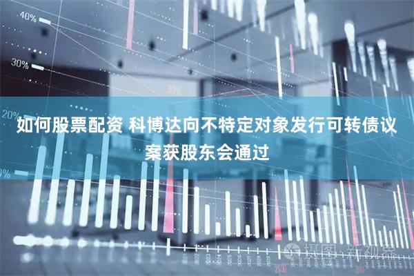 如何股票配资 科博达向不特定对象发行可转债议案获股东会通过