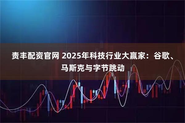 责丰配资官网 2025年科技行业大赢家：谷歌、马斯克与字节跳动